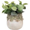 Vaso per fiori Clayre & Eef decoro foglie di quercia Beige Verde Ø19x17 cm in pietra