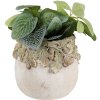 Vaso per fiori Clayre & Eef rilievo foglie di quercia Ø 15x13 cm Beige Verde in pietra