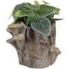 Vaso da fiori Clayre & Eef 6TE0577S Marrone Beige 19x17x16 cm Aspetto pietra naturale