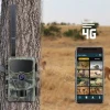 Fototrappola Stealth Gear Hedgehog 1080p 4G per fauna selvatica