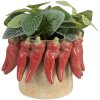 Vaso per fiori Clayre & Eef 6TE0579M Ø 17x13 cm Beige Rosso Terracotta