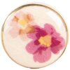Pomo per porta Clayre & Eef 66277 Beige Rosa Ø3x3 cm