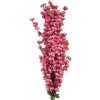 Clayre & Eef 5PL0168P Ramo decorativo con fiori 15x10x100 cm Rosa