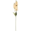 Decorazione Ramo con Fiori Clayre & Eef 5PL0190BE 10x7x74 cm Beige & Verde