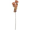 Decorazione Ramo con Fiori Clayre & Eef 5PL0193LP 10x8x76 cm Rosa
