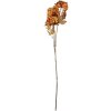 Clayre & Eef 5PL0193O Decorazione Ramo con Fiori 10x8x76 cm