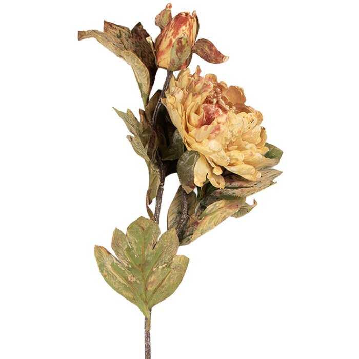 Fiore artificiale Clayre & Eef 5PL0194P 12x10x77 cm