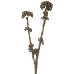 Clayre & Eef 6PL0399G Decorazione Ramo con Fiori...