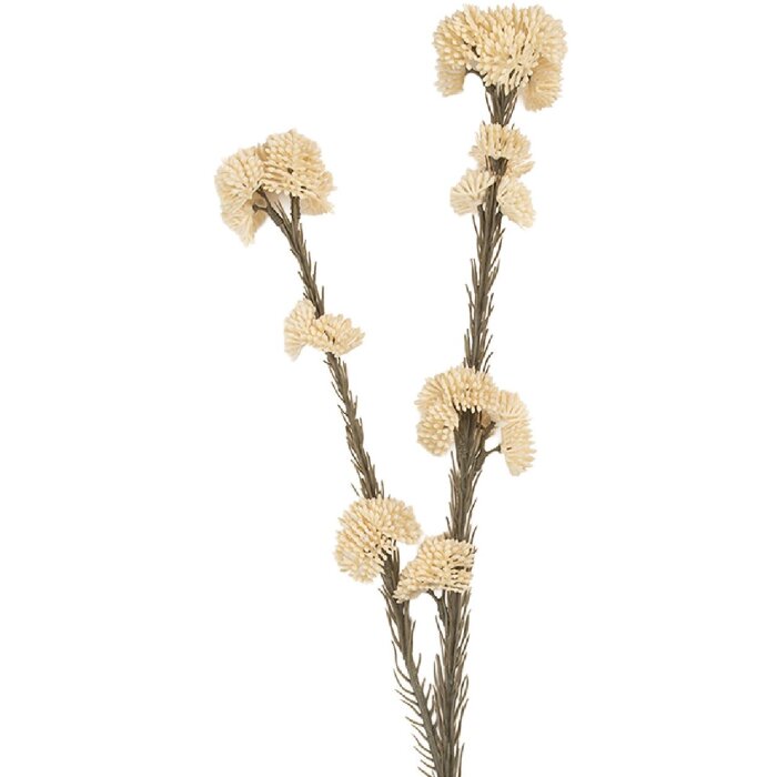 Decorazione Rametto con Fiori Clayre & Eef 6PL0399W 6x6x58 cm