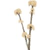 Decorazione Rametto con Fiori Clayre & Eef 6PL0399W 6x6x58 cm