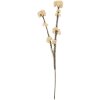 Decorazione Rametto con Fiori Clayre & Eef 6PL0399W 6x6x58 cm