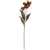 Decorazione Ramo con Fiori Clayre & Eef 6PL0403BR 8x5x60 cm Marrone & Verde