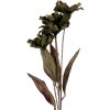 Decorazione Ramo con Fiori Clayre & Eef 6PL0403GR 8x5x60 cm Verde