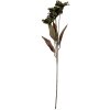 Decorazione Ramo con Fiori Clayre & Eef 6PL0403GR 8x5x60 cm Verde