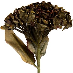 Clayre & Eef 6PL0404GR Decorazione Ramo con Fiori...
