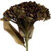 Clayre & Eef 6PL0404GR Decorazione Ramo con Fiori Verde 15x15x47 cm