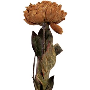 Fiore artificiale Clayre & Eef 6PL0405BR 10x10x65 cm...