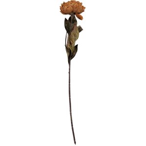 Fiore artificiale Clayre & Eef 6PL0405BR 10x10x65 cm...