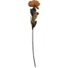 Fiore artificiale Clayre & Eef 6PL0405BR 10x10x65 cm Marrone & Verde