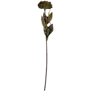 Fiore artificiale Clayre & Eef 6PL0405CH 10x10x65 cm