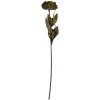 Fiore artificiale Clayre & Eef 6PL0405CH 10x10x65 cm