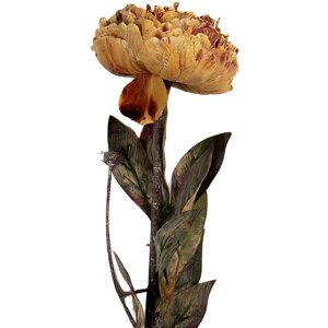 Fiore Artificiale Clayre & Eef 6PL0405O 10x10x65 cm...