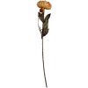 Fiore Artificiale Clayre & Eef 6PL0405O 10x10x65 cm Arancione & Verde