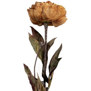 Clayre & Eef 6PL0405Y Fiore artificiale 10x10x65 cm...