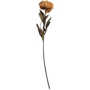 Clayre & Eef 6PL0405Y Fiore artificiale 10x10x65 cm...