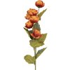 Clayre & Eef 6PL0409O Decorazione Ramo con Fiori 10x10x63 cm