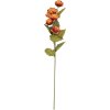 Clayre & Eef 6PL0409O Decorazione Ramo con Fiori 10x10x63 cm