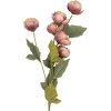 Clayre & Eef 6PL0409P Decorazione Ramo con Fiori 10x10x63 cm
