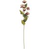 Decorazione Ramo con Fiori Clayre & Eef 6PL0409PA 10x10x63 cm Viola e Verde