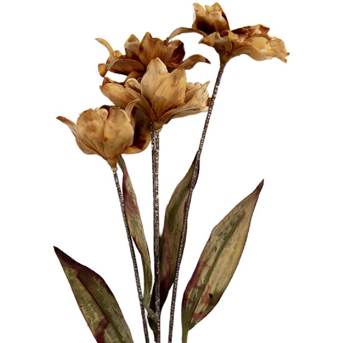 Clayre & Eef 6PL0403LCH Decorazione Ramo con Fiori 8x5x60 cm Marrone e Verde