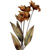 Clayre & Eef 6PL0403LO Decorazione Ramo con Fiori 8x5x60 cm Arancione