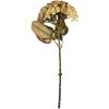 Clayre & Eef 6PL0404BE Decorazione Ramo con Fiori 15x15x47 cm Beige-Verde