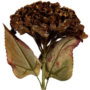 Clayre & Eef 6PL0404CH Decorazione Ramo con Fiori...