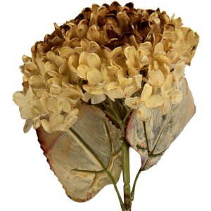 Decorazione Ramo con Fiori Clayre & Eef 6PL0404CR...