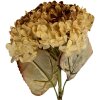 Decorazione Ramo con Fiori Clayre & Eef 6PL0404CR 15x15x47 cm