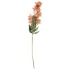 Clayre & Eef 5PL0191P Decorazione Ramo con Fiori 10x10x72 cm Rosa