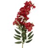 Clayre & Eef 5PL0191R Decorazione Ramo con Fiori 10x10x72 cm Rosso & Verde