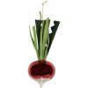 Ornamento Natalizio Clayre & Eef 6GL5295 Ø 6x15 cm Rosso e Verde