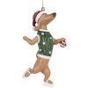 Clayre & Eef 6PR5308 Decorazione a sospensione Cane 6x3x10 cm Marrone & Verde