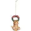 Clayre & Eef 6PR5312 Decorazione appendente Gatto 6x5x9 cm Marrone e Verde