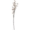 Fiore artificiale Clayre & Eef 5PL0202LP Rosa & Marrone 8x8x110 cm
