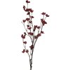 Fiore artificiale Clayre & Eef 5PL0202PA Violetto & Braun 8x8x110 cm