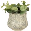 Vaso per fiori Clayre & Eef 6CE2240L Ø 21x17 cm Beige-Verde