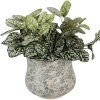 Vaso per fiori Clayre & Eef 6CE2240M Ø 18x15 cm Verde Grigio