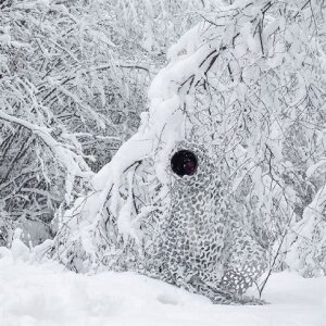 Rete Mimetica 3D Foglie Buteo Photo Gear Camo Neve 1,5x3 m