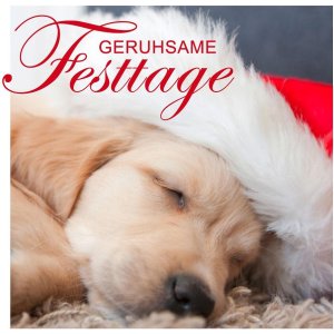 Mini scheda cane che dorme